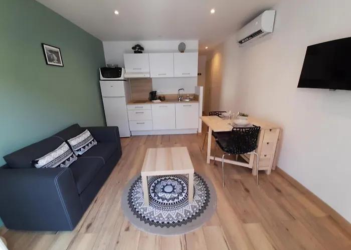 Appartement Neuf De 30 M2 Au Coeur De Palavas Classe 2 Etoiles